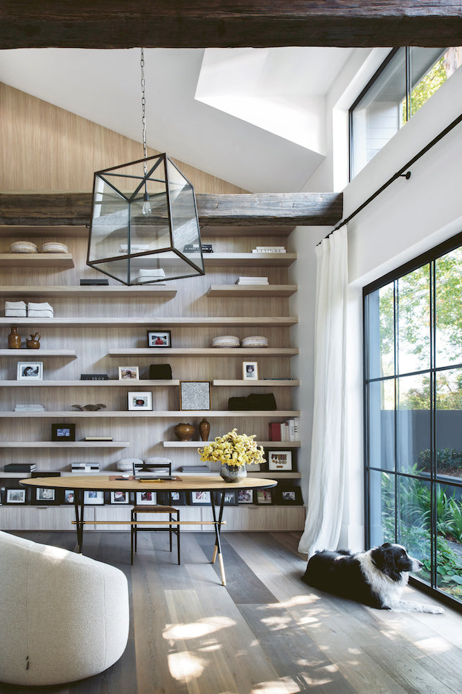 Dog lying on the floor of a double-height library with tall timber shelves