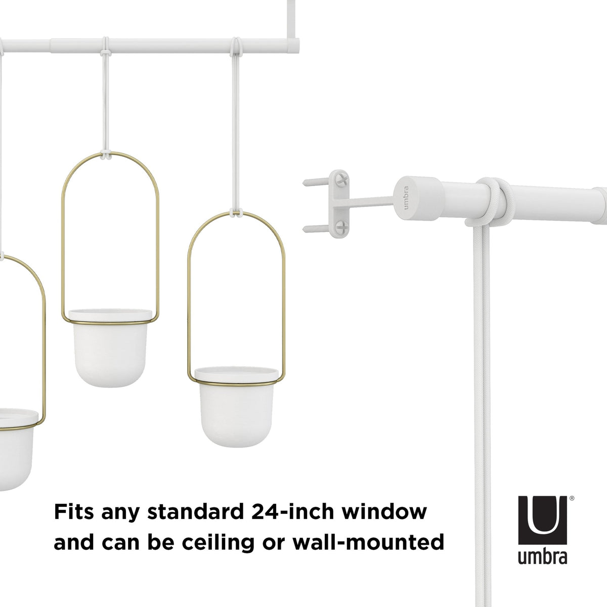 Umbra Triflora hanging planters shown on a rod, for ceiling or wall mounting