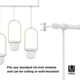A set of Umbra's TRIFLORA HANGING PLANTERS - White / Brass that can be mounted on a wall or ceiling to illuminate indoor plants or create a cozy ambiance in any room.