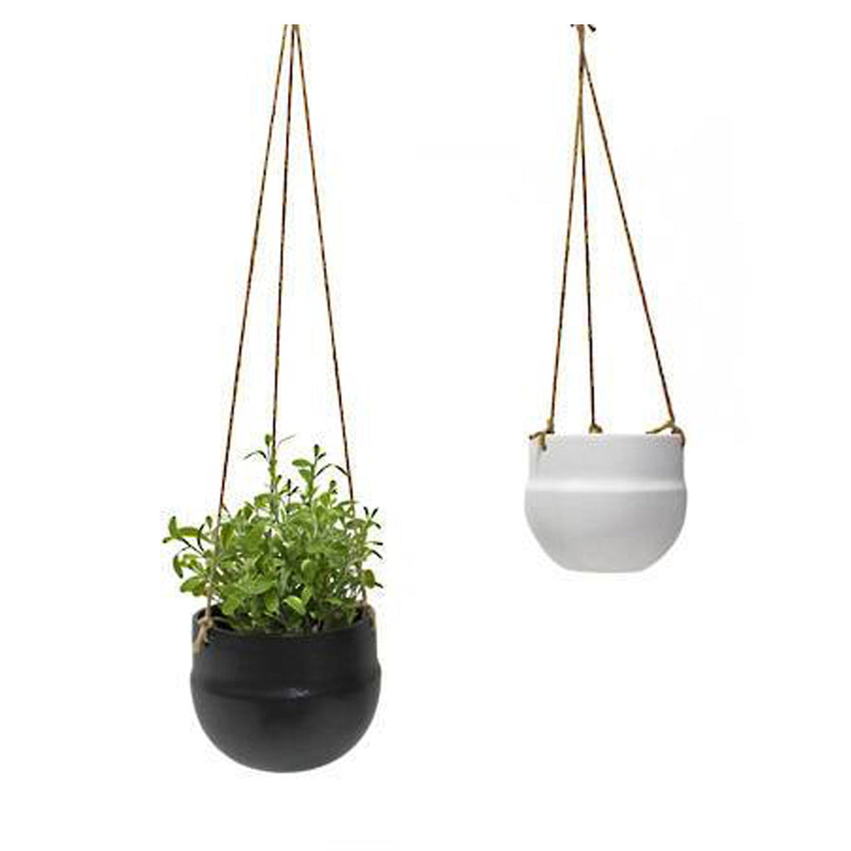 Black and white porcelain hanging planters on jute ropes, the black one holding a small green plant