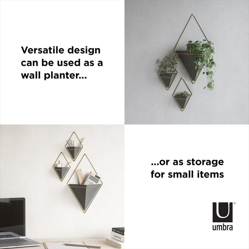 Versatile geometric design can be used as a Trigg Wall Vessel storage for small items. (Umbra)