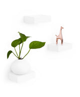 The Umbra SHOWCASE SHELVES range offers a space-saving solution with its white floating shelves adorned with a plant and a giraffe figurine.