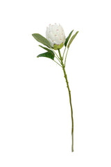 Queen Protea Spray White full 68cm faux stem, lifelike artificial protea for coastal and Scandi styling at Flux Boutique