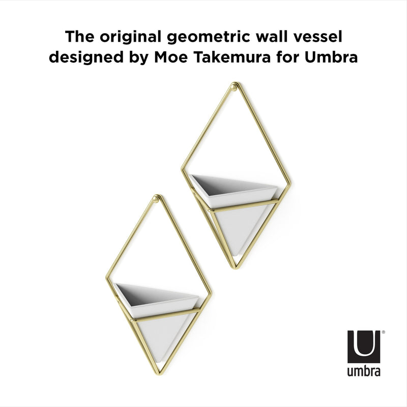 The original Trigg Wall Vessel - White / Nickel | Small Set of Two by Umbra, perfect for showcasing indoor plants.