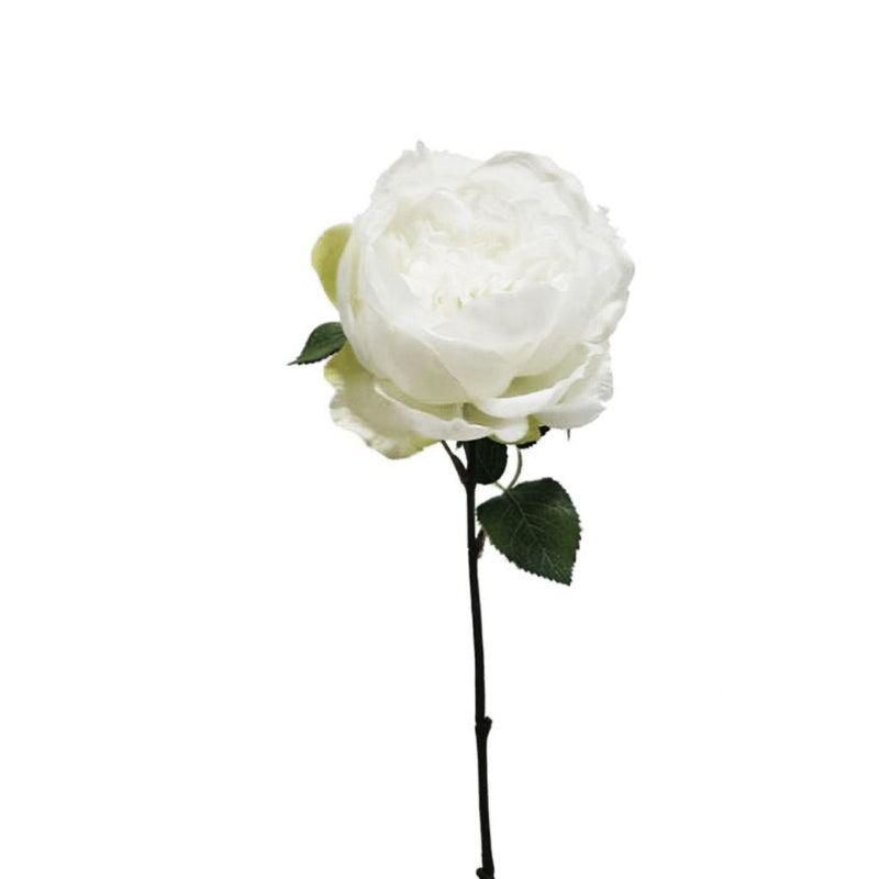 A Provence Rose White on a stem with greenery against a white background, showcasing floral styling. (Brand: Artificial Flora)
