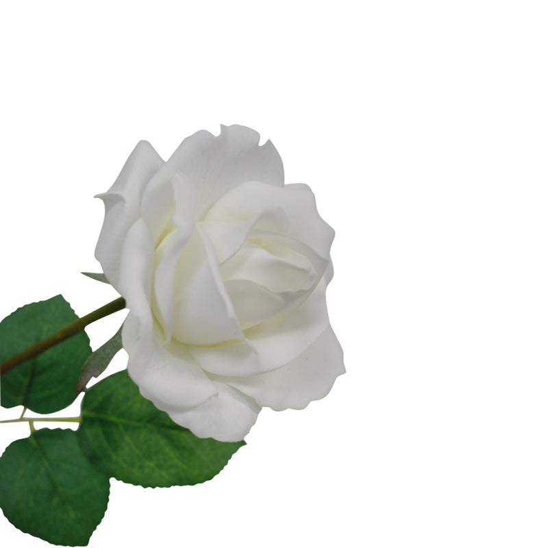 An elegant white rose with green leaves on a pristine white background, showcasing the beauty of Artificial Flora's Real Touch Tea Rose 65cm White and complemented by refreshing greenery.