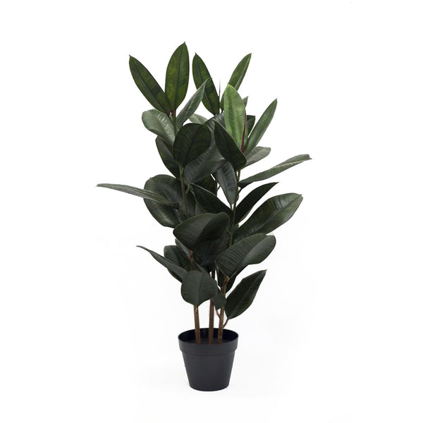An Artificial Flora Rubber Elastica Plant 115cm on a white background, adding a touch of floral styling and greenery to any space.