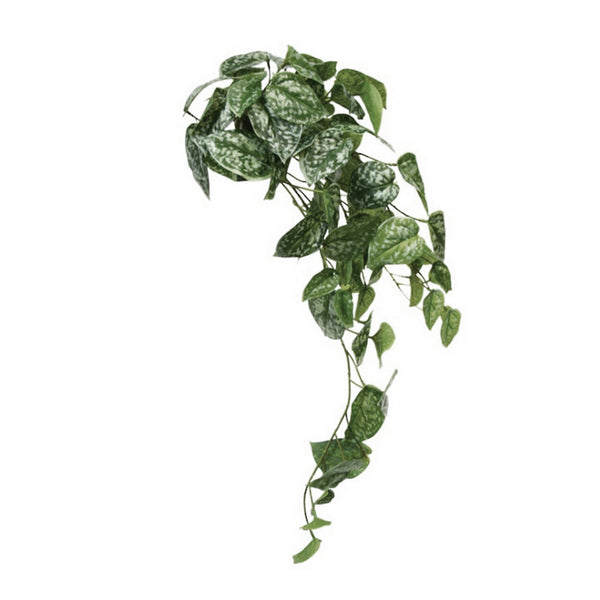 An Artificial Flora Scindapsus Bush on a white background.