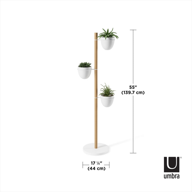A Floristand Planter - White/Natural from Umbra with three potted plants from the umbra range on it.