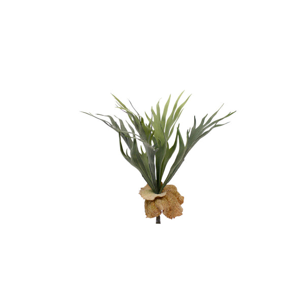 A Mini Staghorn Fern Bush in a vase on a white background by Artificial Flora.