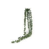Artificial Flora's String of Beads Spray images.