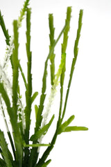 An Artificial Flora Rhipsalis Succulent with White Flower in a vase on a white background.