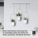 A TRIFLORA HANGING PLANTER by Umbra that hangs from an extended metal rod, perfect for herbs and succulents.