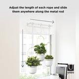 Indoor plants displayed in TRIFLORA HANGING PLANTERS by a window, brand name Umbra.