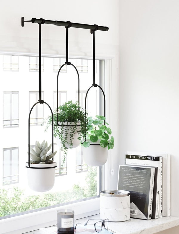 Three Umbra Triflora Hanging Planters - White / Black adorning a window display.