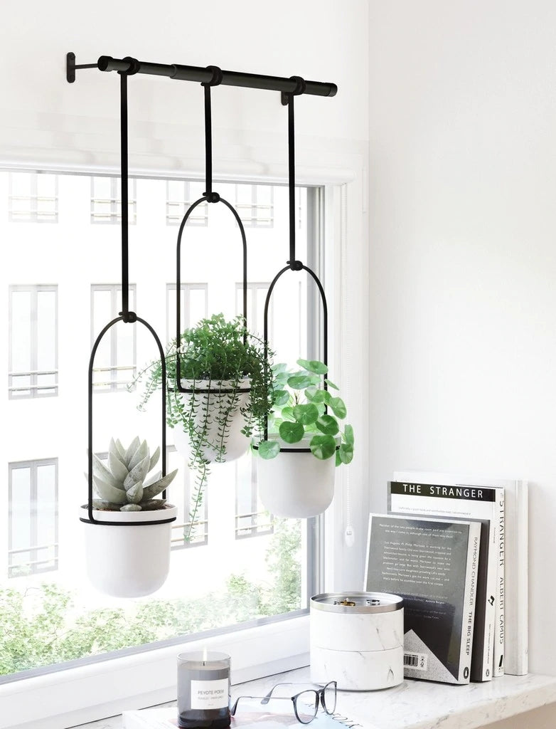Three TRIFLORA HANGING PLANTERS - White / Brass by Umbra grace a window sill.