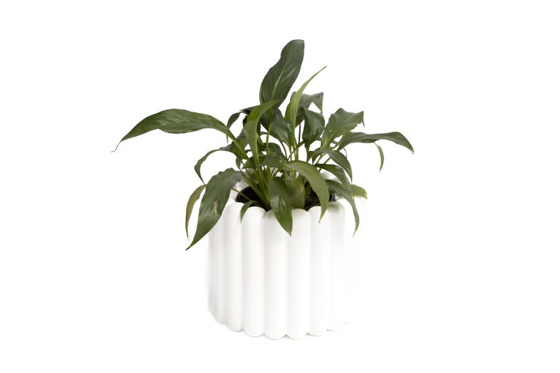 A Ned Collections ALTO VASE WHITE / BLACK with curves and a matte finish.