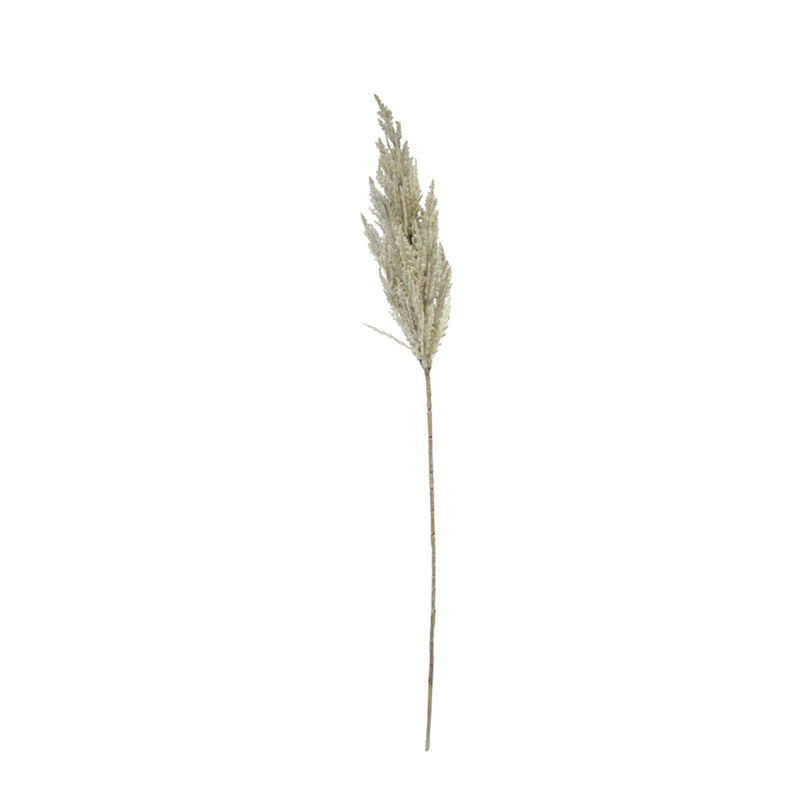 A tall stalk of Artificial Flora's Artificial Toi Toi Stem against a white background.