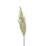 A tall Artificial Toi Toi Stem on a stem against a white background, by Artificial Flora.