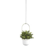 A TRIFLORA HANGING PLANTER in white, decorated with an indoor green plant, perfectly suited for a window display. The brand name is Umbra.