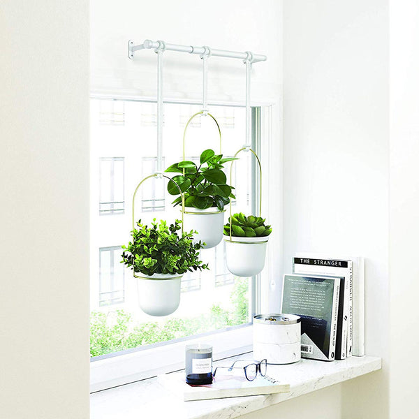 Three indoor plants hanging from a window sill in Umbra's TRIFLORA HANGING PLANTERS - White / Brass.