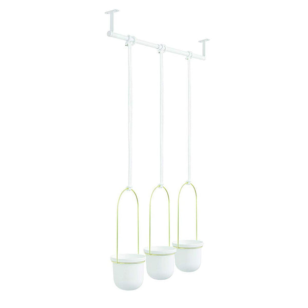 Three TRIFLORA HANGING PLANTERS by Umbra, perfect for indoor plants, suspended against a white background.