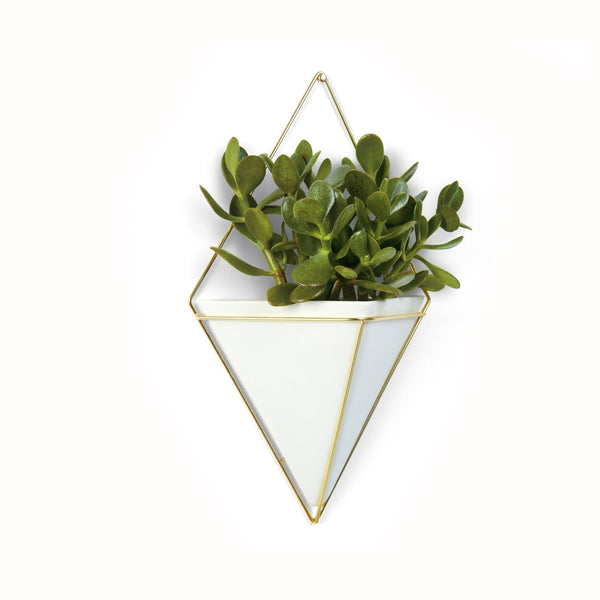 A white Umbra Trigg Wall Vessel | Large - White/Brass with a plant in it.