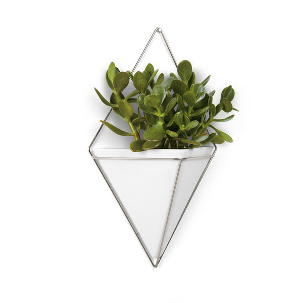 A decorative Trigg Wall Vessel | Large - White/Nickel planter featuring an indoor plant, made by Umbra.