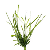 A bunch of Rhipsalis Succulent with White Flower plants by Artificial Flora on a white background.