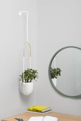 A BOLO PLANTER - White by Umbra beautifully adorns the wall, adding a touch of elegance to the desk area.