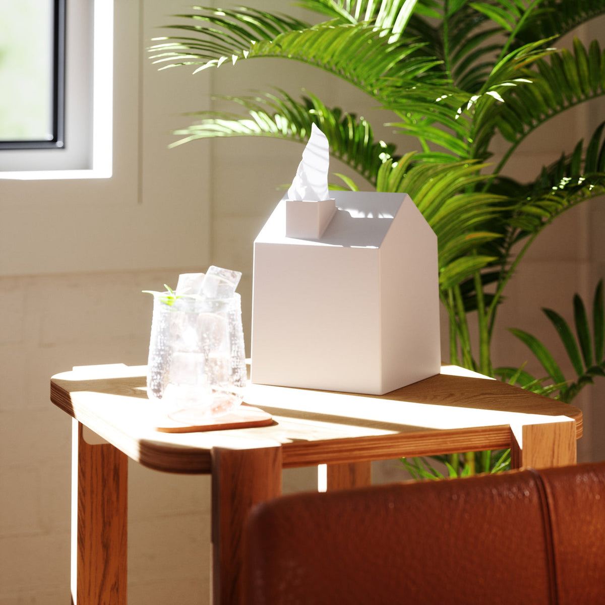 Umbra Casa tissue box cover on a timber table with glasses and a potted palm behind