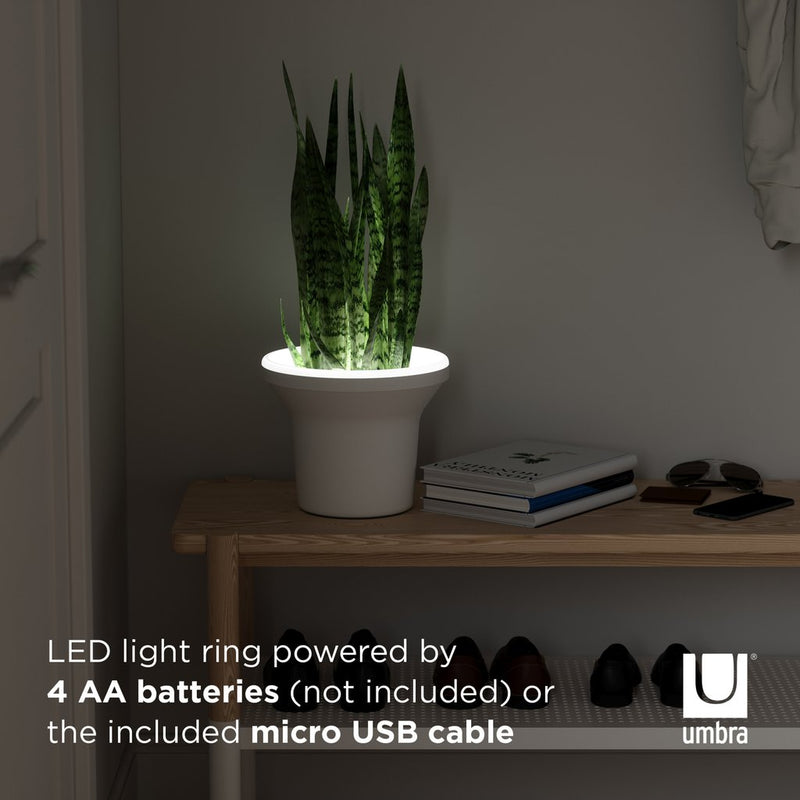 Umbra ORA ILLUMINATED PLANTER powered by 4 AA batteries included.