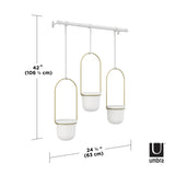 Three Umbra TRIFLORA HANGING PLANTERS - White / Brass decorate a white wall near a window.