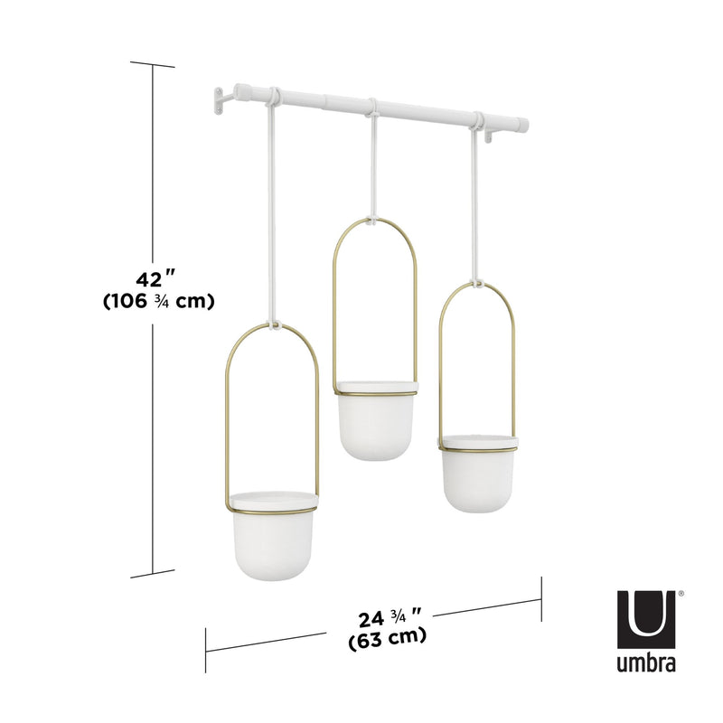 Three Umbra TRIFLORA HANGING PLANTERS - White / Brass decorate a white wall near a window.