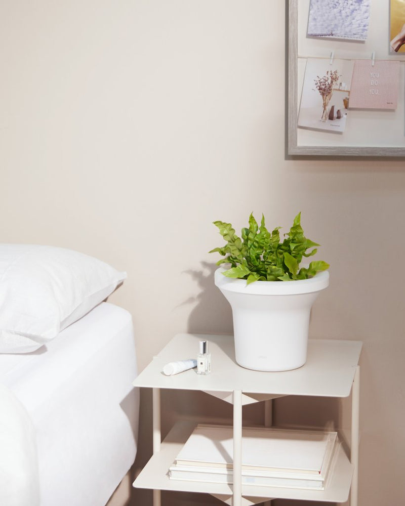 An Umbra range bedside table with an ORA ILLUMINATED PLANTER on it.
